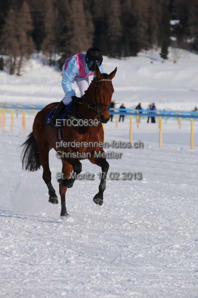 ET0Q0830 prot